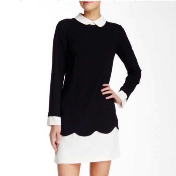 CeCe Dresses & Skirts - CeCe | Jada Scalloped Overlay Collared Shift Dress | Black White | size 8